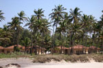 Goa