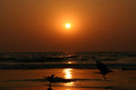 Goa