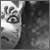 Kitsune Horror. part 2